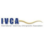 IVCA_Logo